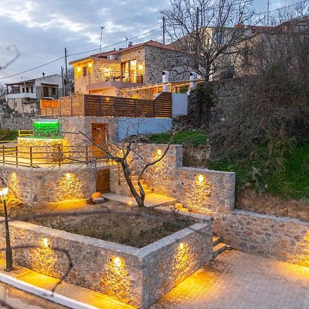Lasithi Luxury Villa Mesa Lasithi Bagian luar foto